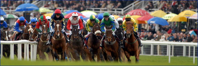 Picture of a horse race