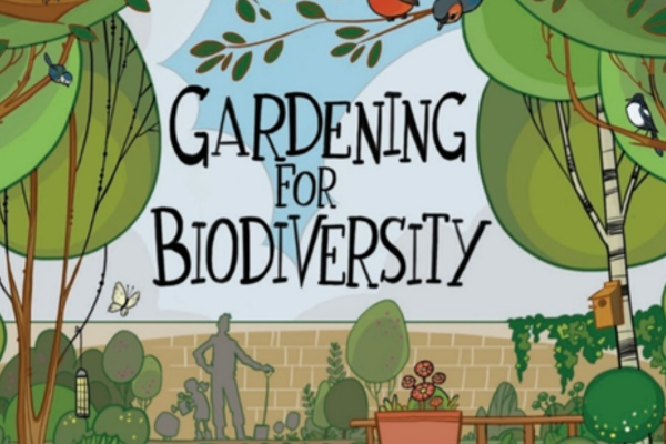 Plans and Publications Biodiversity - Thumbnail