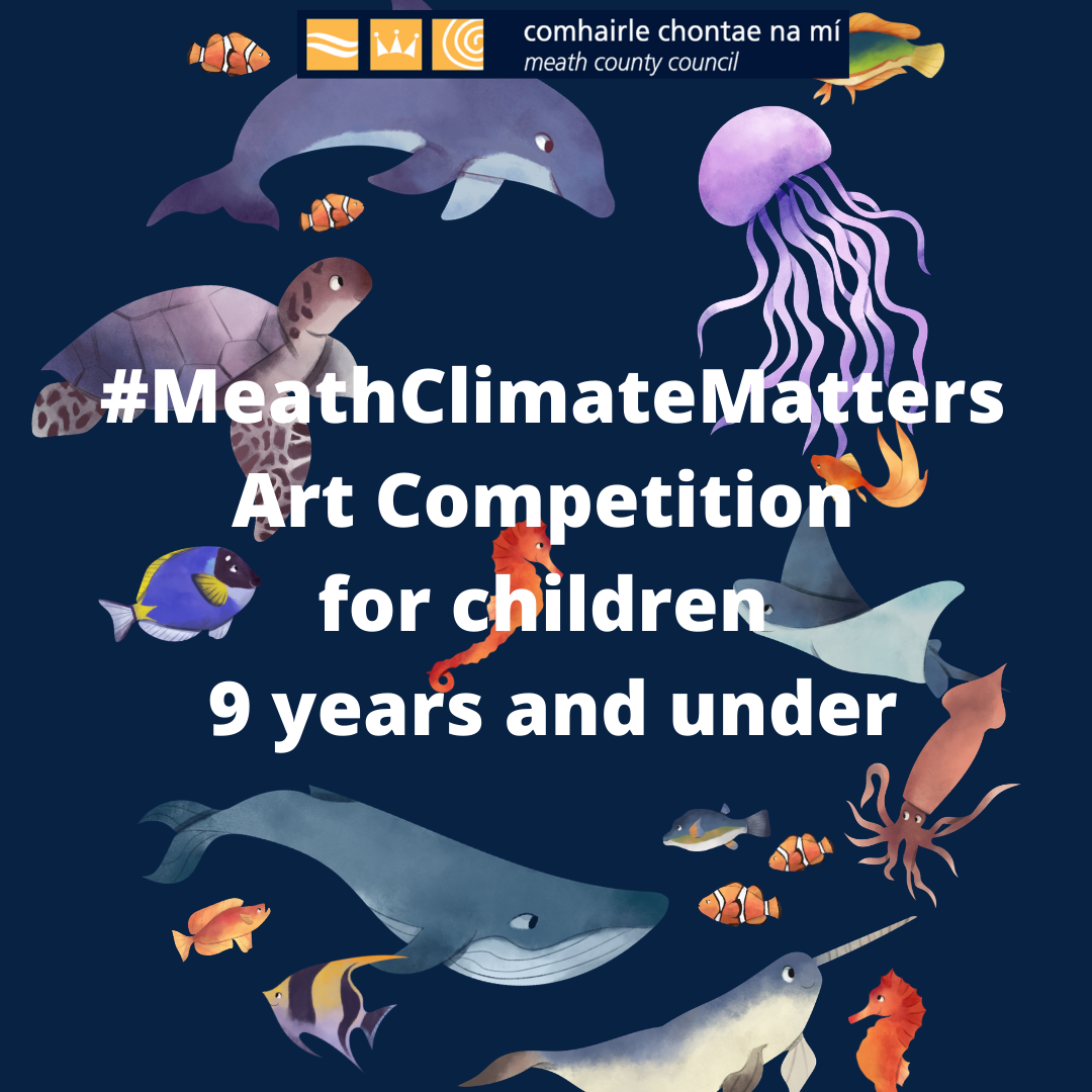 Meath Climate Matters Art Competition
