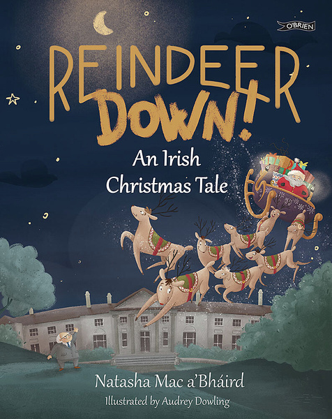 Reindeer Down book cover