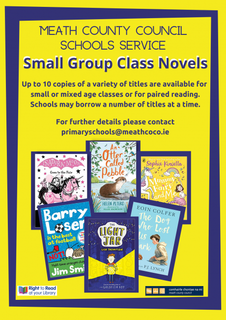 Small Group Class Novels Flyer