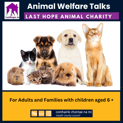 Animal Welfare Talks with Last Hope Animal Charity