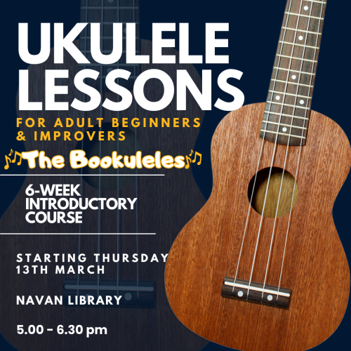 Adult Ukulele Lessons Navan Series 3