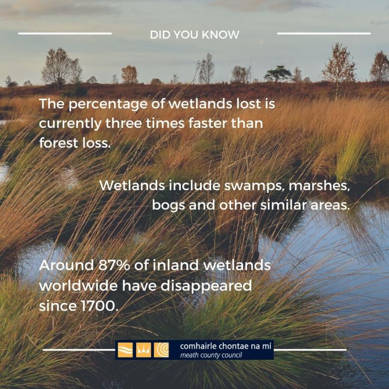 Wetlands